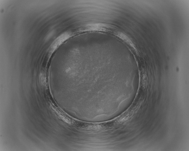 X0000067500882200604101228