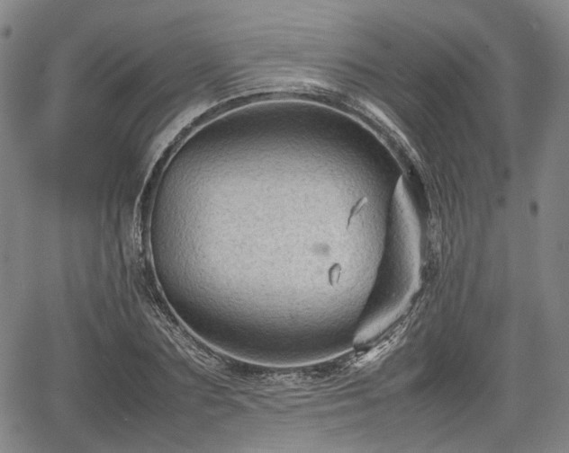 X0000067500883200604101228