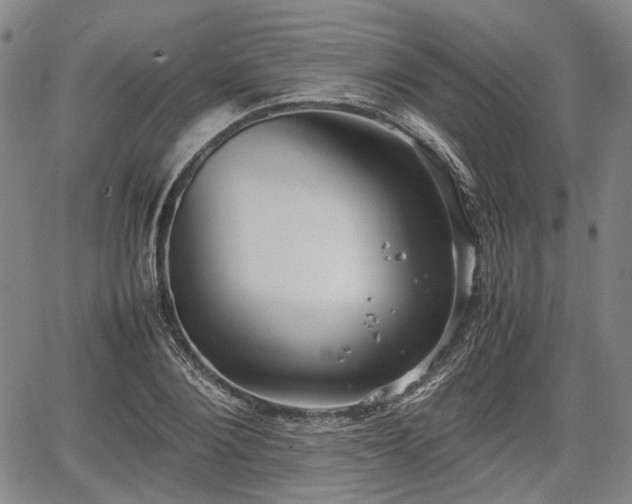 X0000067500884200604101228