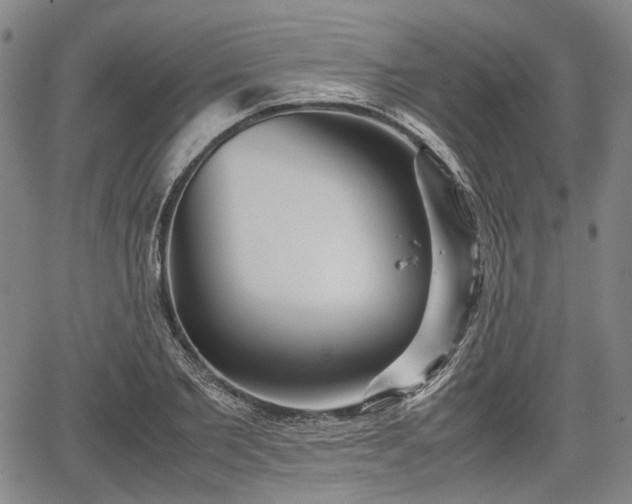 X0000067500885200604101228