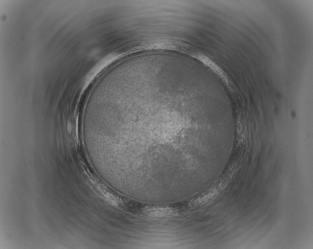 X0000067500886200604101228