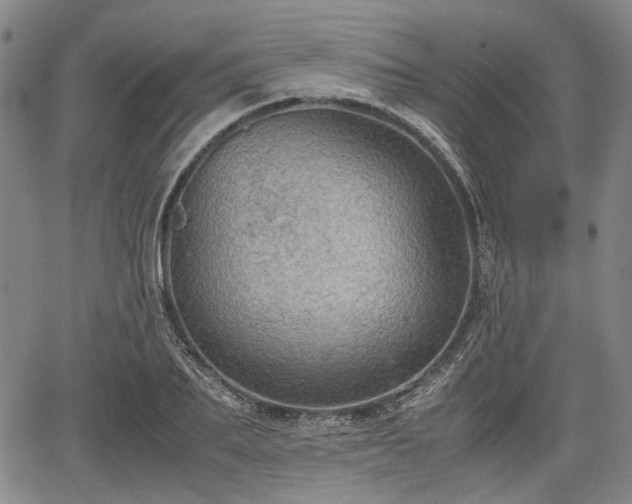 X0000067500887200604101228