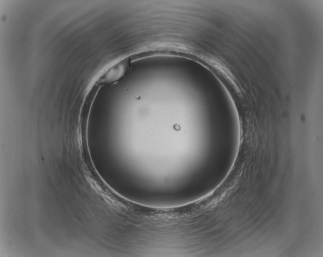 X0000067500888200604101228