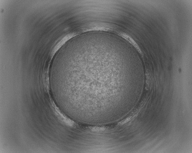 X0000067500890200604101228