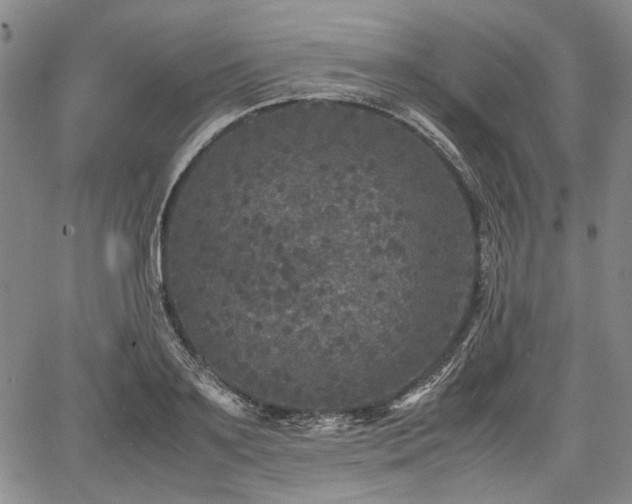 X0000067500891200604101228