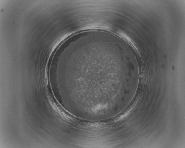 X0000067500892200604101228