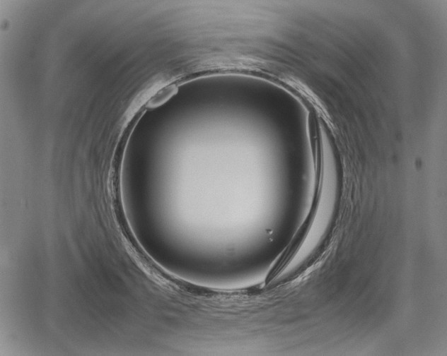 X0000067500893200604101228