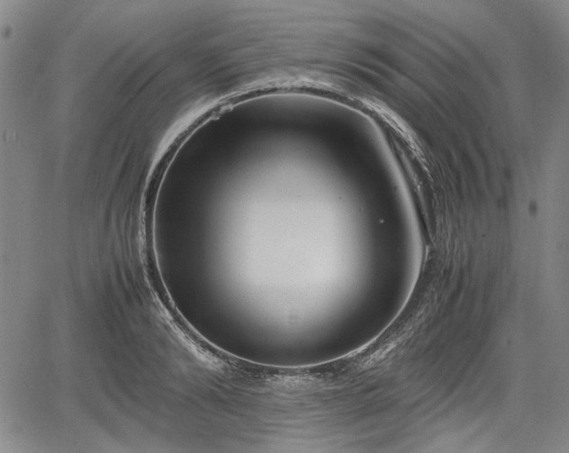 X0000067500894200604101228