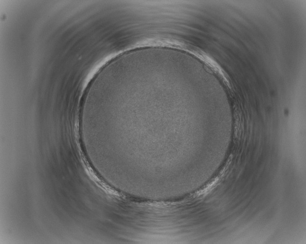 X0000067500896200604101227