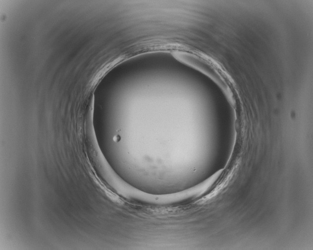 X0000067500897200604101227