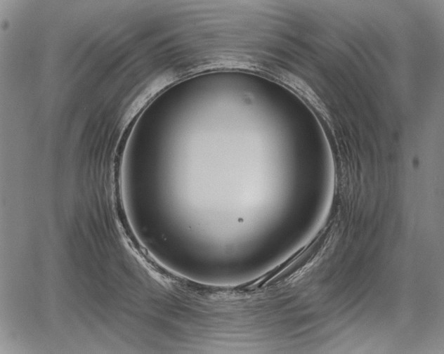 X0000067500898200604101227