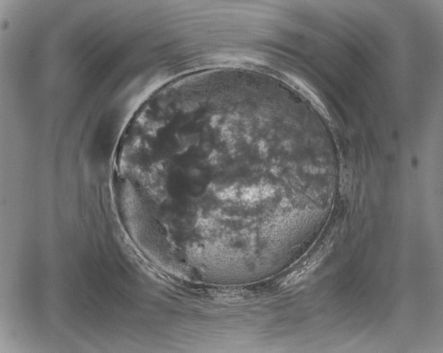 X0000067500899200604101227