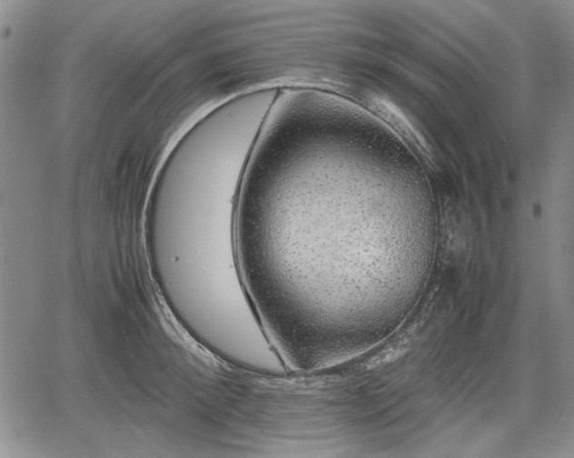 X0000067500900200604101227