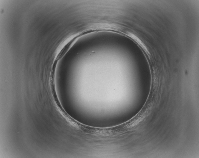 X0000067500901200604101227