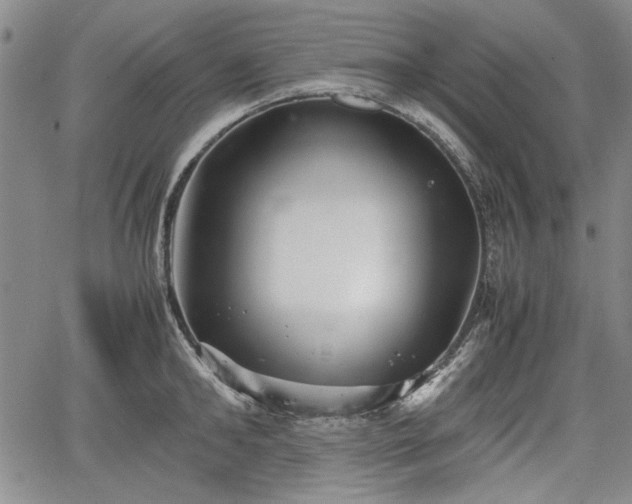 X0000067500902200604101227