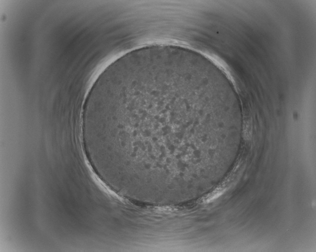 X0000067500903200604101227