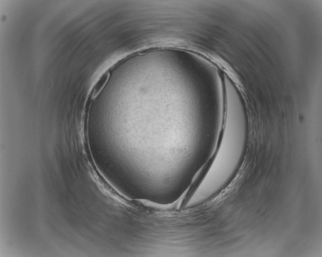 X0000067500904200604101227