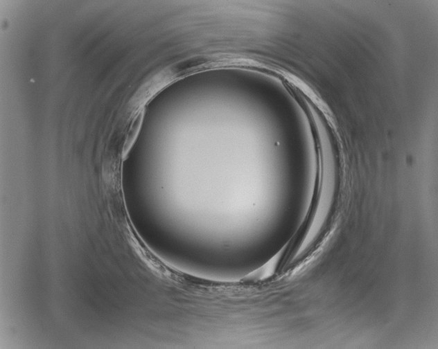 X0000067500905200604101227