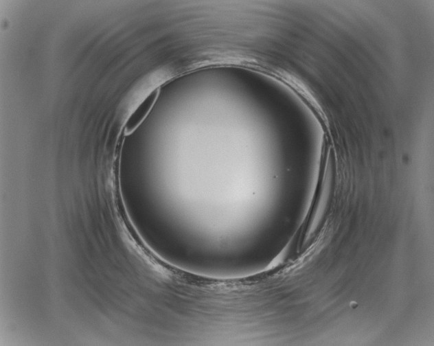 X0000067500906200604101227