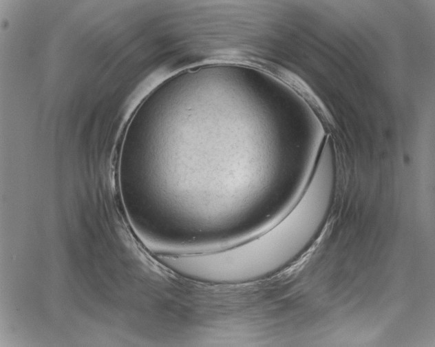 X0000067500908200604101227