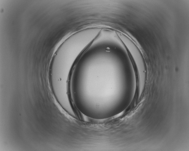 X0000067500909200604101227