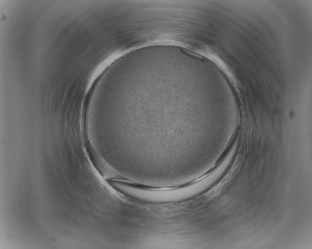 X0000067500910200604101227