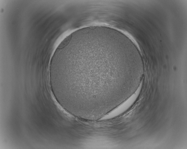 X0000067500911200604101227