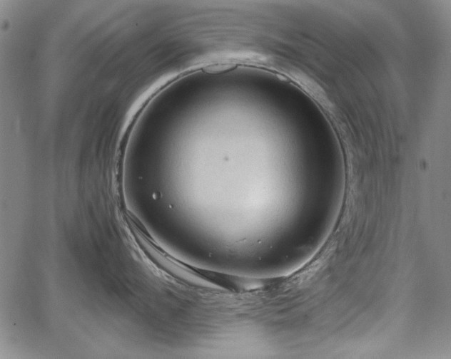 X0000067500912200604101227