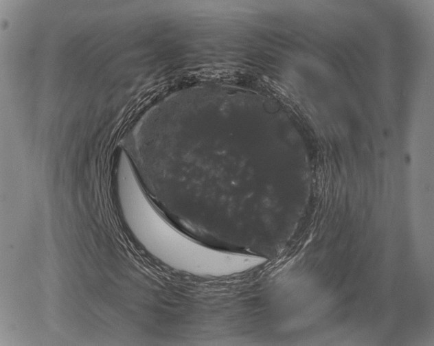 X0000067500913200604101226