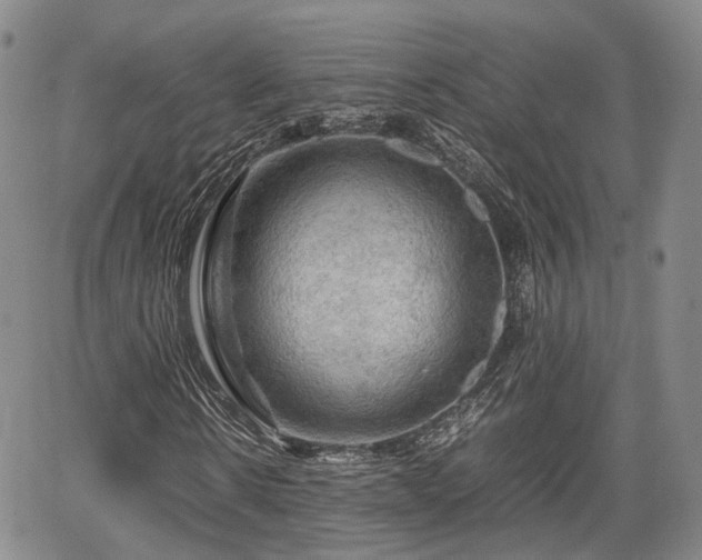 X0000067500914200604101226