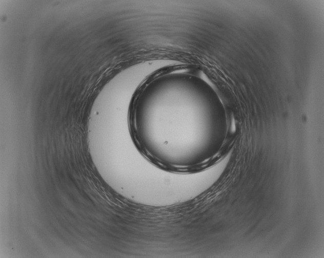 X0000067500916200604101226