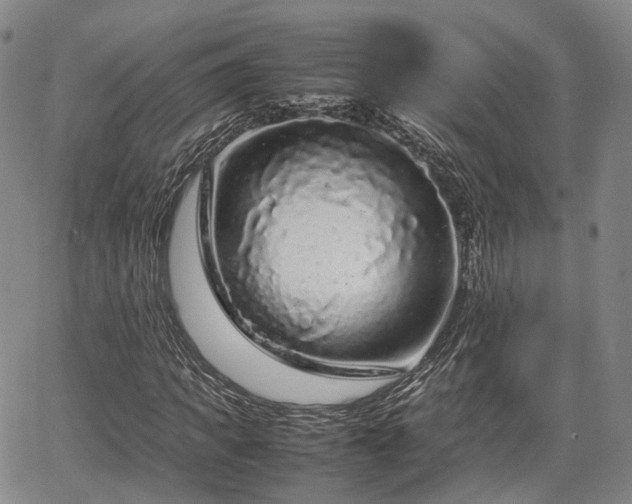 X0000067500917200604101227