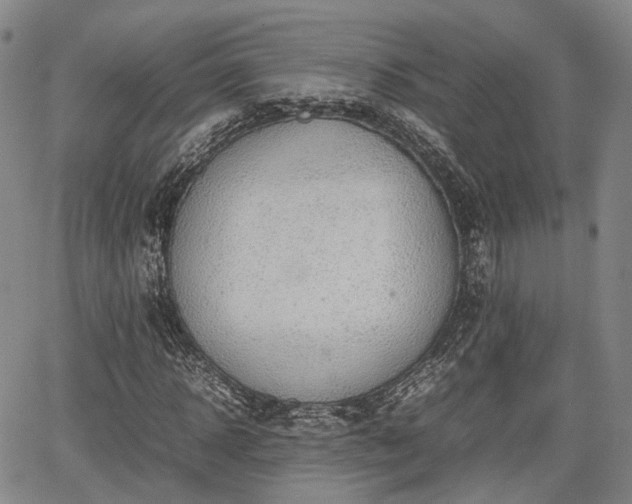 X0000067500918200604101227