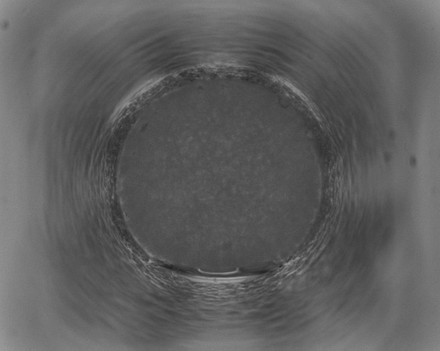 X0000067500919200604101227