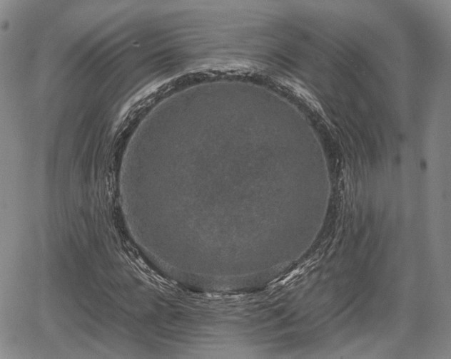 X0000067500920200604101227