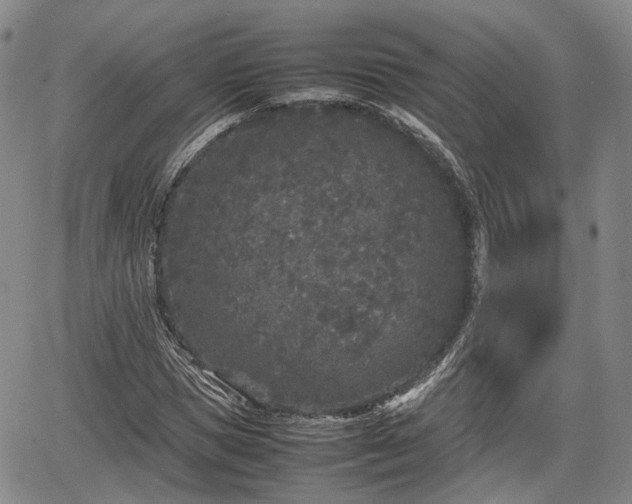 X0000067500921200604101227