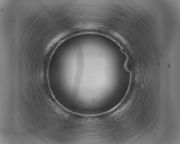 X0000067500922200604101227