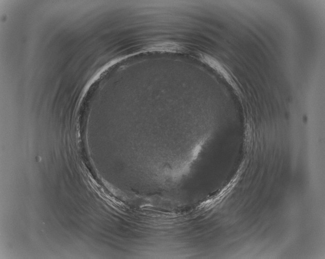 X0000067500923200604101227