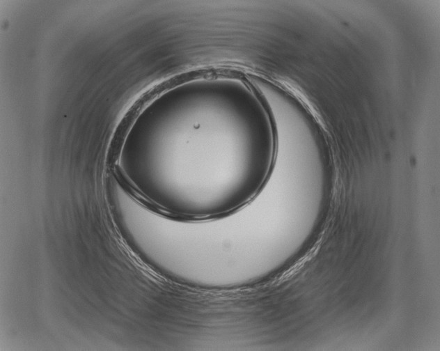 X0000067500924200604101227