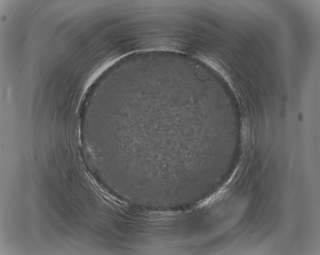 X0000067500925200604101227