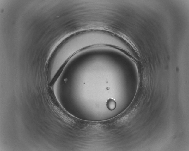 X0000067500926200604101227