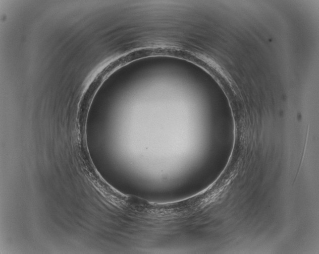 X0000067500927200604101227