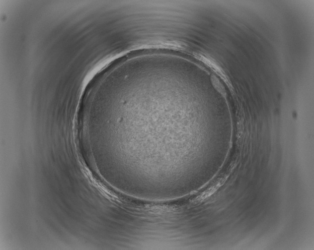 X0000067500928200604101227