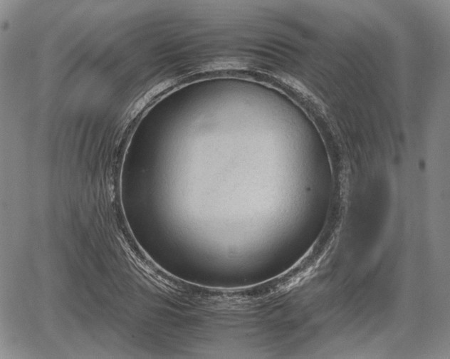 X0000067500929200604101227