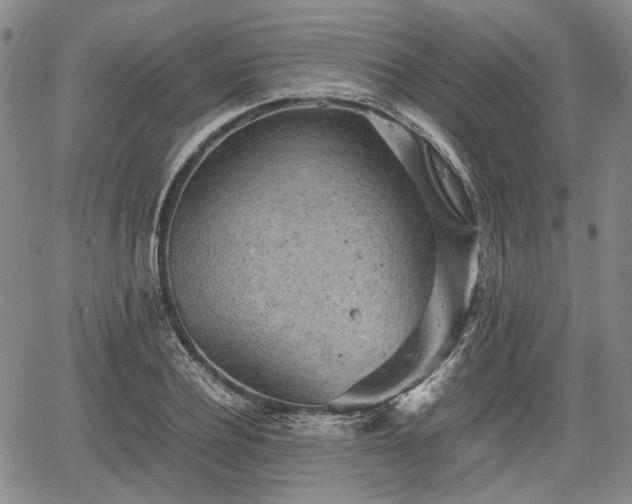 X0000067500932200604101227