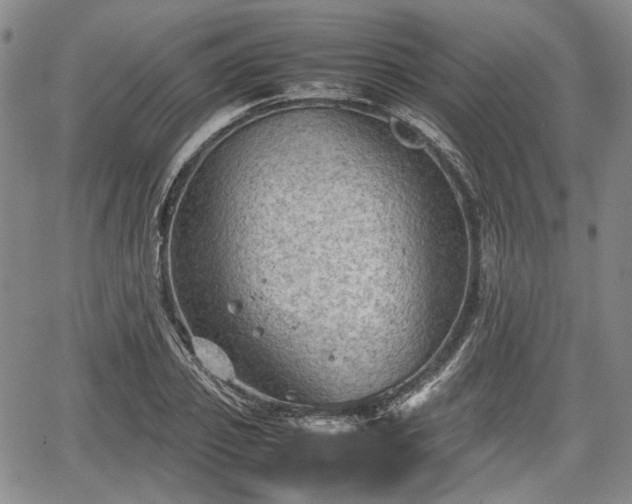 X0000067500933200604101227