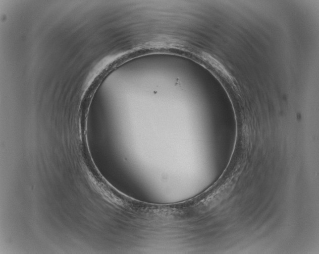 X0000067500934200604101227