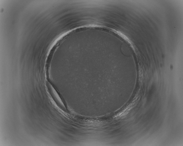 X0000067500935200604101227