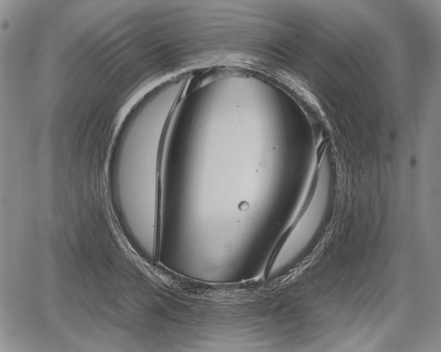 X0000067500936200604101227