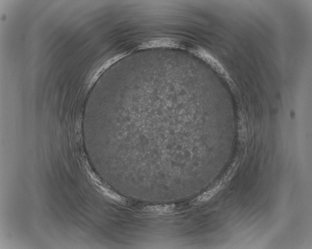 X0000067500937200604101227